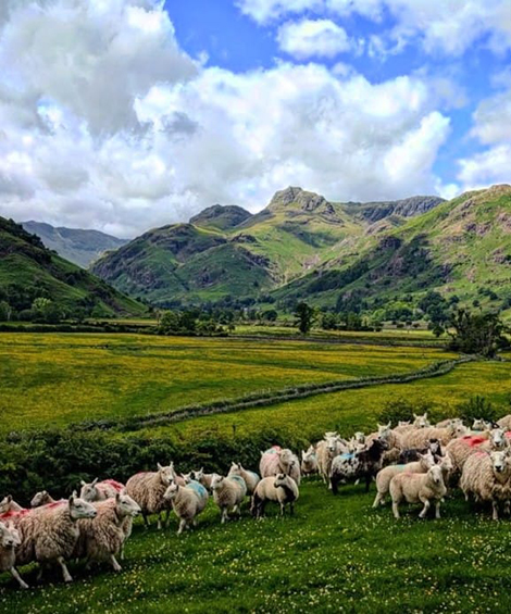 Lake District Glamping in our Luxury Glamping Pod with Hot Tub, Lingmoor at Harry Place Farm, Great Langdale.